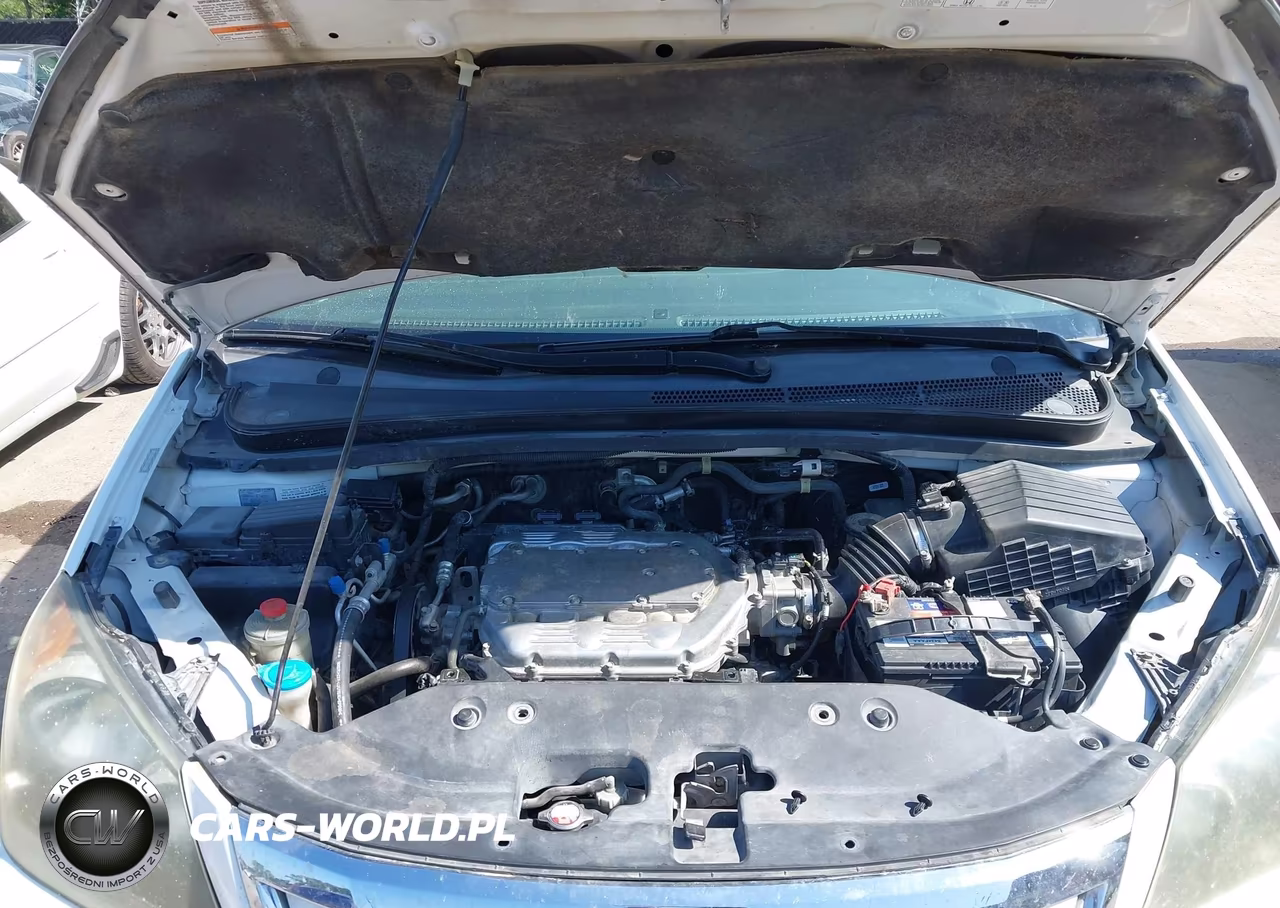 2009 Honda Odyssey Ex-L VIN:5FNRL38649B401493 - 10