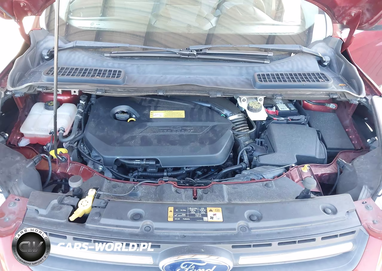 2014 Ford Escape Se VIN:1FMCU0GX2EUB56413 - 10