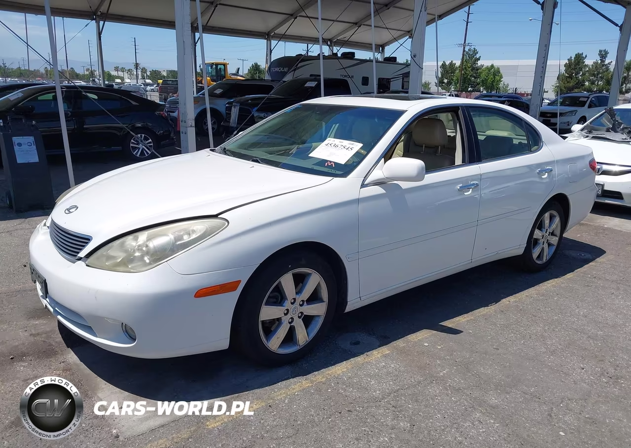 2005 Lexus Es 330 VIN:JTHBA30G755135568 - 2