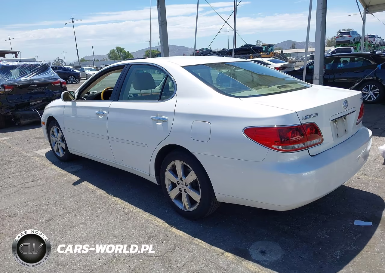 2005 Lexus Es 330 VIN:JTHBA30G755135568 - 3