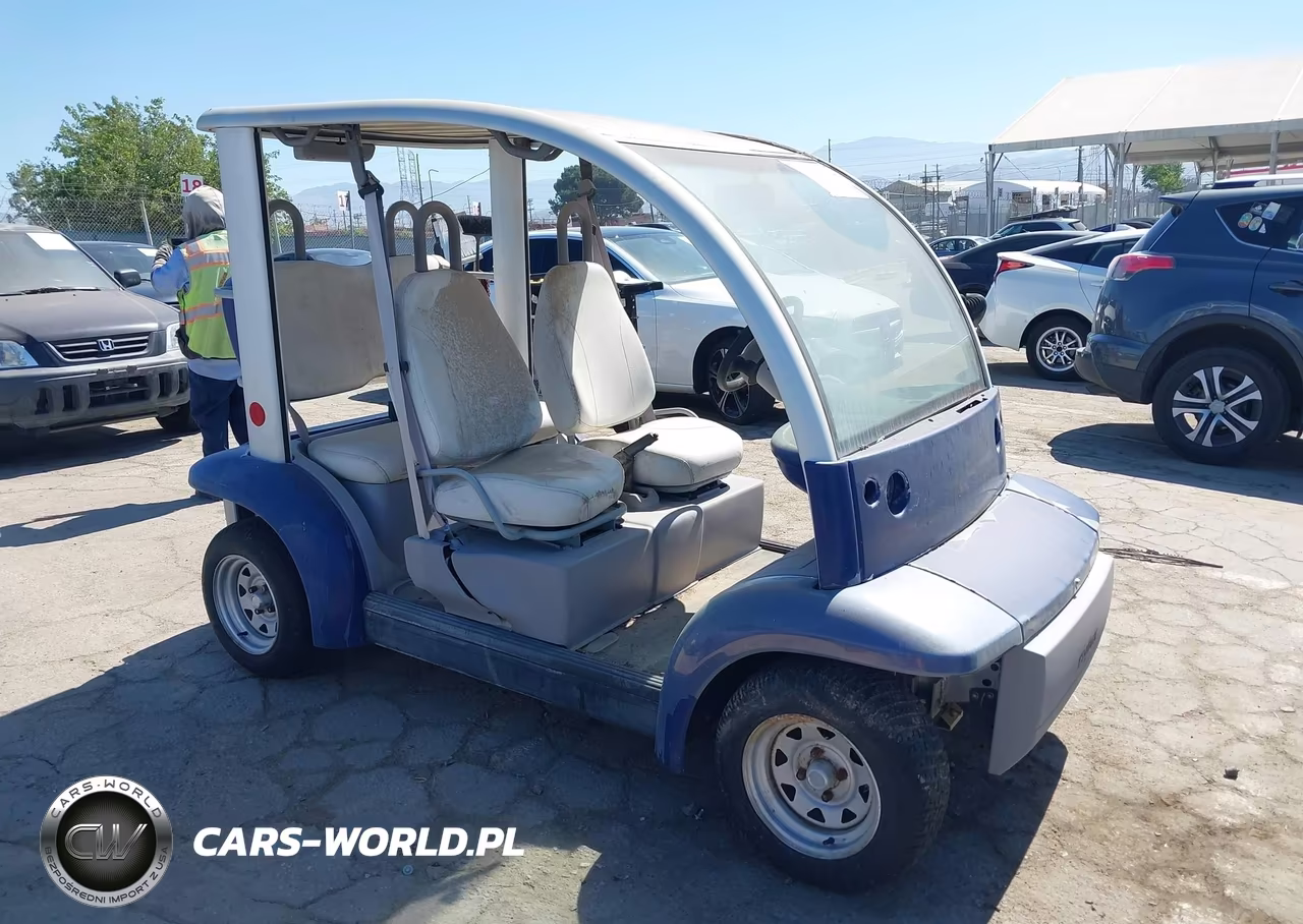 2002 Ford Think Neighbor – zdjęcie 1 z 15