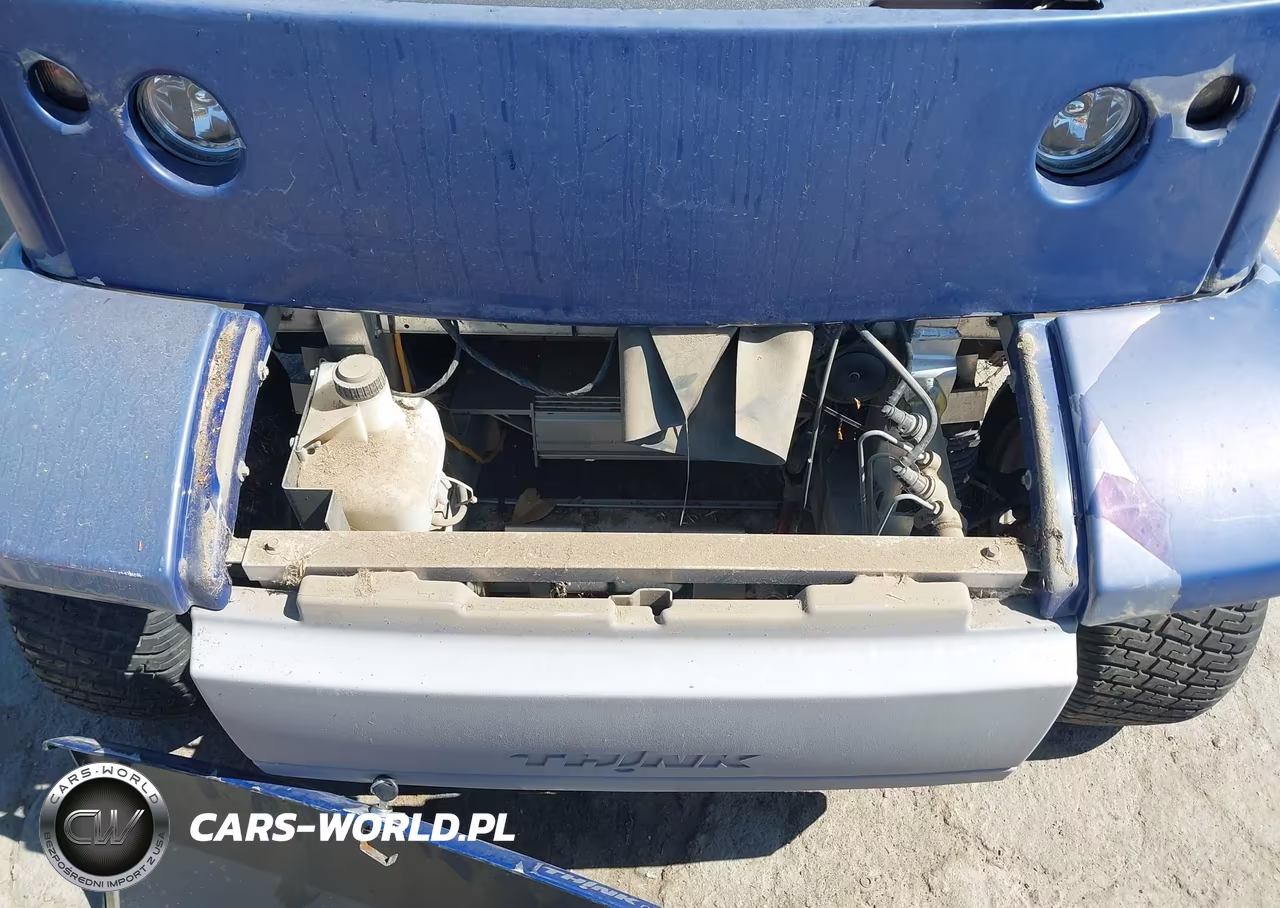 2002 Ford Think Neighbor VIN:1FABP225620100699 - 10