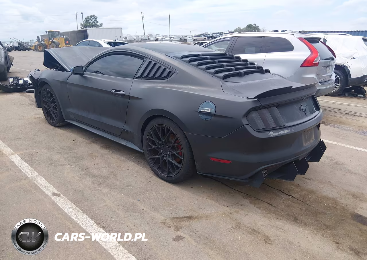 2017 Ford Mustang V6 VIN:1FA6P8AM5H5224505 - 3