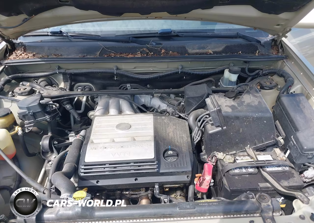 2002 Toyota Highlander V6 VIN:JTEHF21AX20094178 - 10