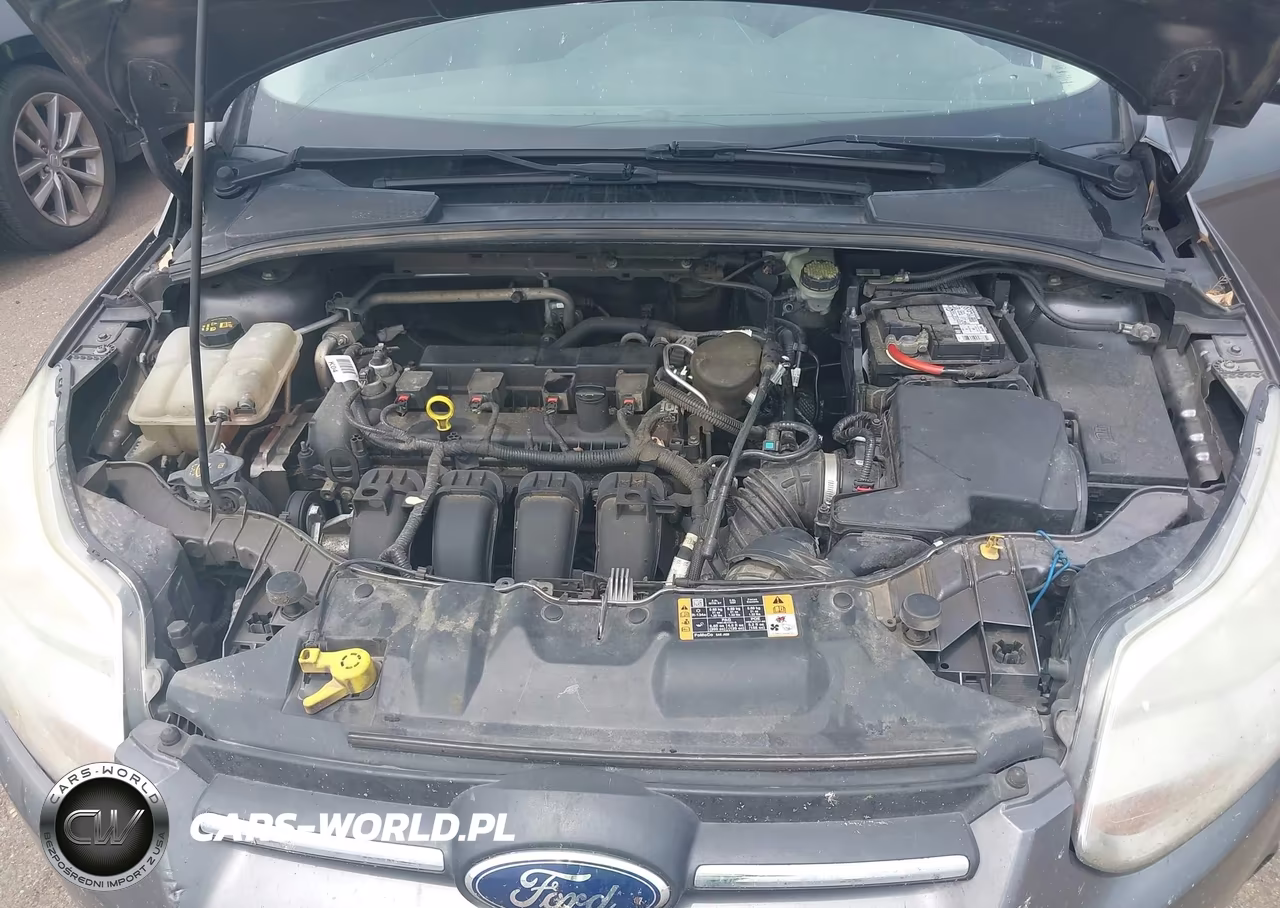 2014 Ford Focus Se VIN:1FADP3F2XEL387403 - 10