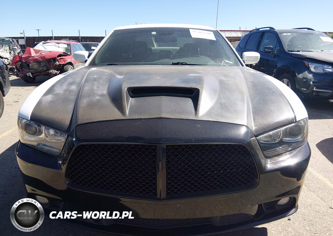 2014 Dodge Charger R-T Max VIN:2C3CDXDT7EH203568 - 13