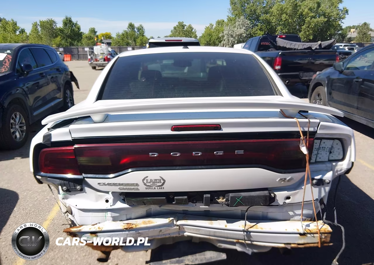 2014 Dodge Charger R-T Max VIN:2C3CDXDT7EH203568 - 17