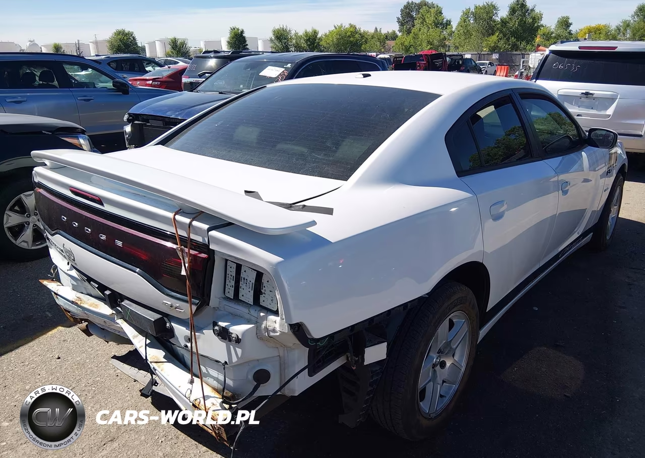 2014 Dodge Charger R-T Max VIN:2C3CDXDT7EH203568 - 4