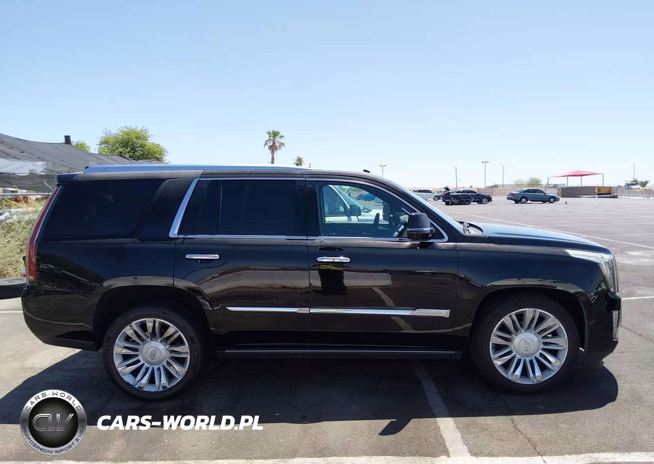 2016 Cadillac Escalade Platinum VIN:1GYS3DKJ5GR192111 - 13