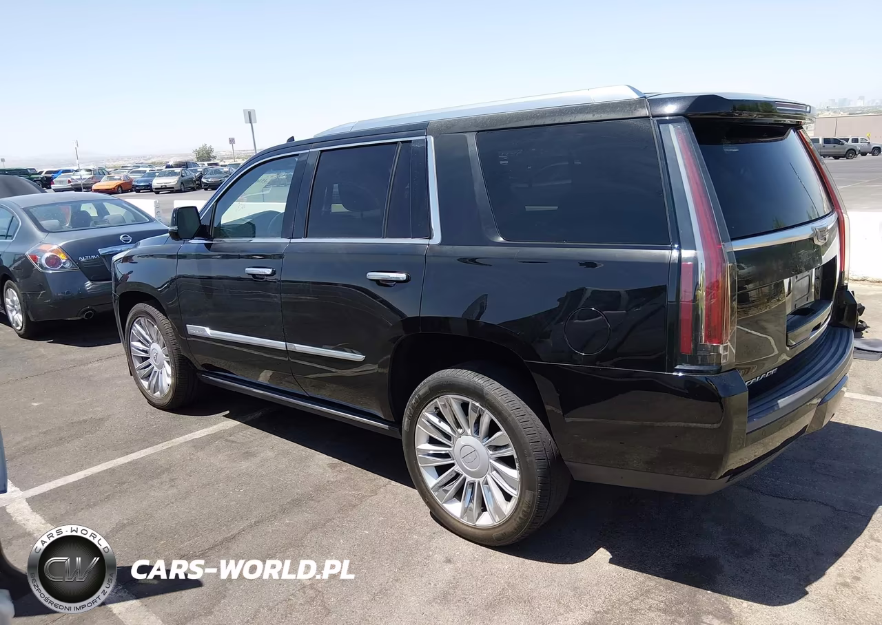 2016 Cadillac Escalade Platinum VIN:1GYS3DKJ5GR192111 - 3