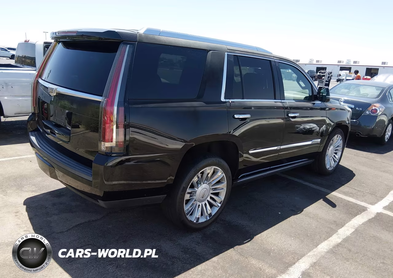 2016 Cadillac Escalade Platinum VIN:1GYS3DKJ5GR192111 - 4