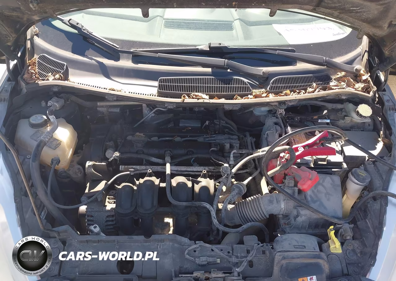 2013 Ford Fiesta Se VIN:3FADP4EJ7DM204177 - 10