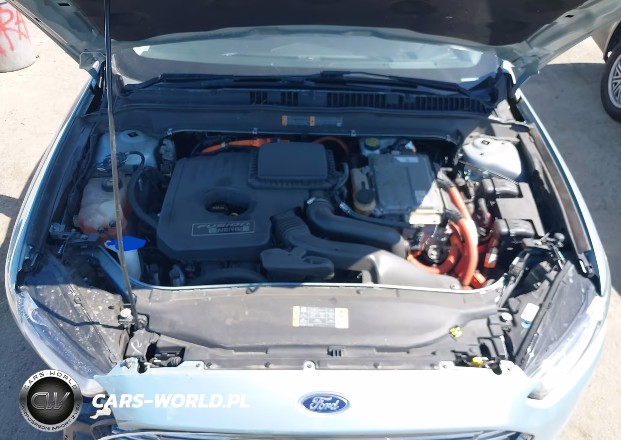 2013 Ford Fusion Energi Titanium VIN:3FA6P0SU1DR285843 - 10