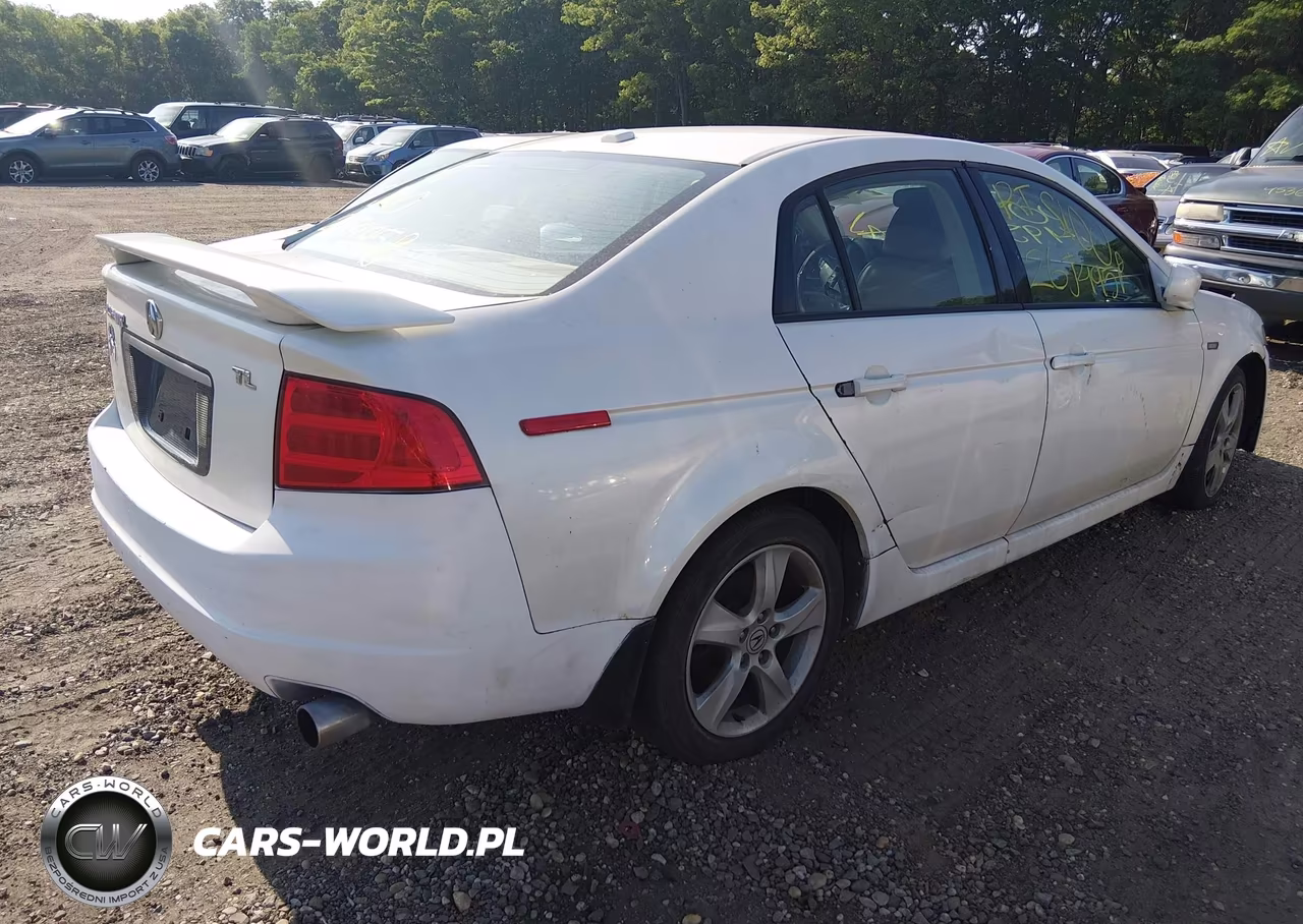2004 Acura Tl VIN:19UUA66214A044553 - 4