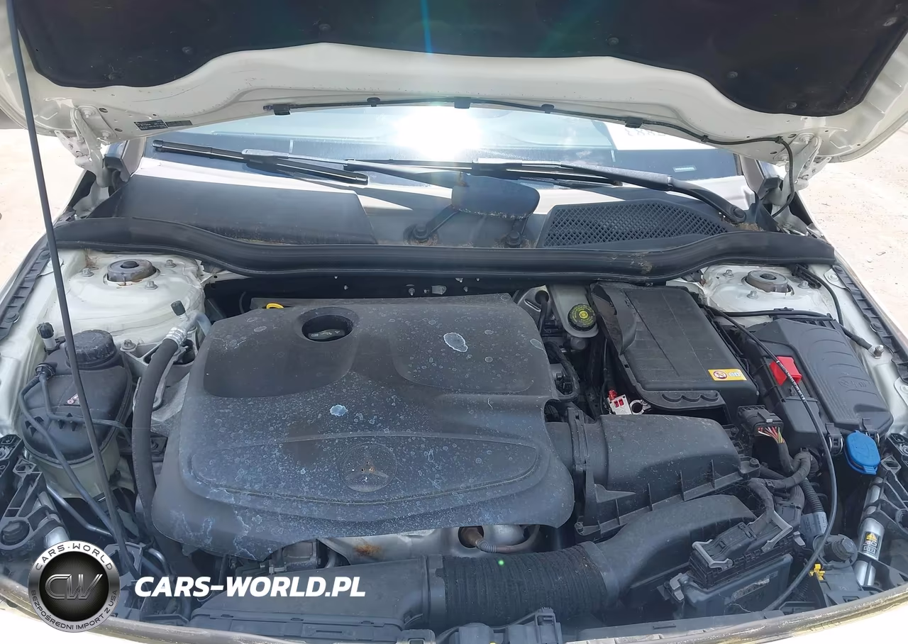 2014 Mercedes-Benz Cla 250 VIN:WDDSJ4EB0EN039596 - 10