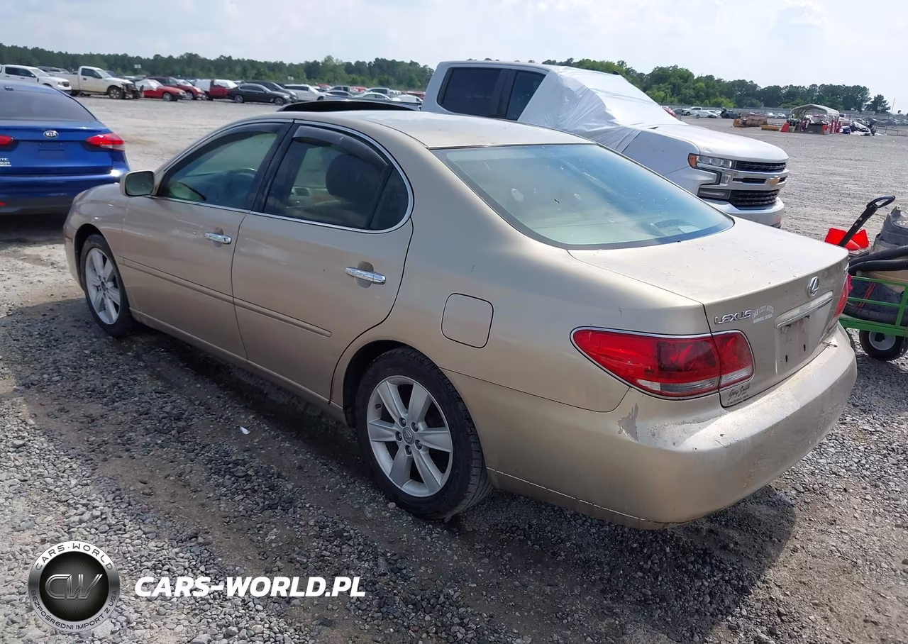 2005 Lexus Es 330 VIN:JTHBA30G155075612 - 3