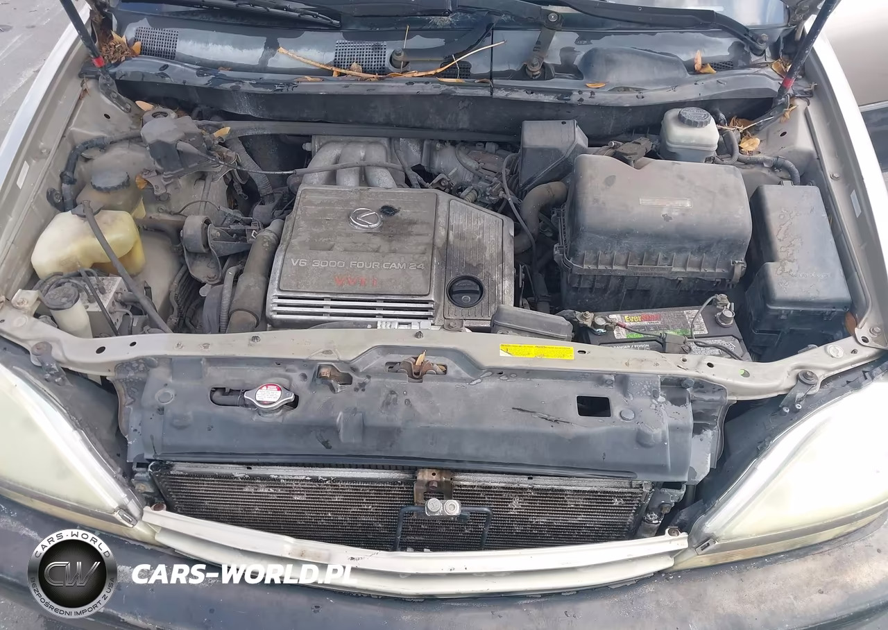 2002 Lexus Rx 300 VIN:JTJGF10U220132697 - 10