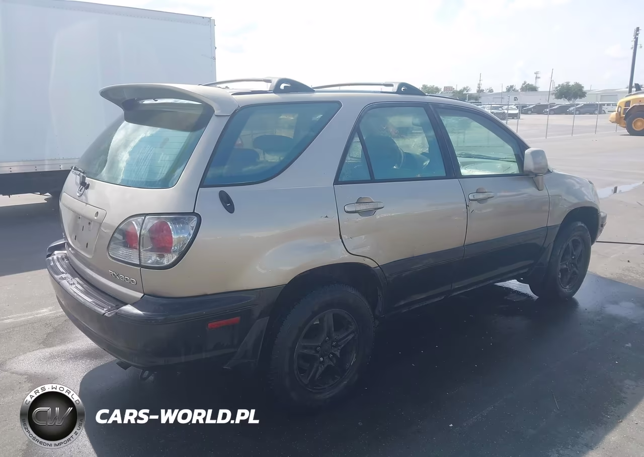2002 Lexus Rx 300 VIN:JTJGF10U220132697 - 4