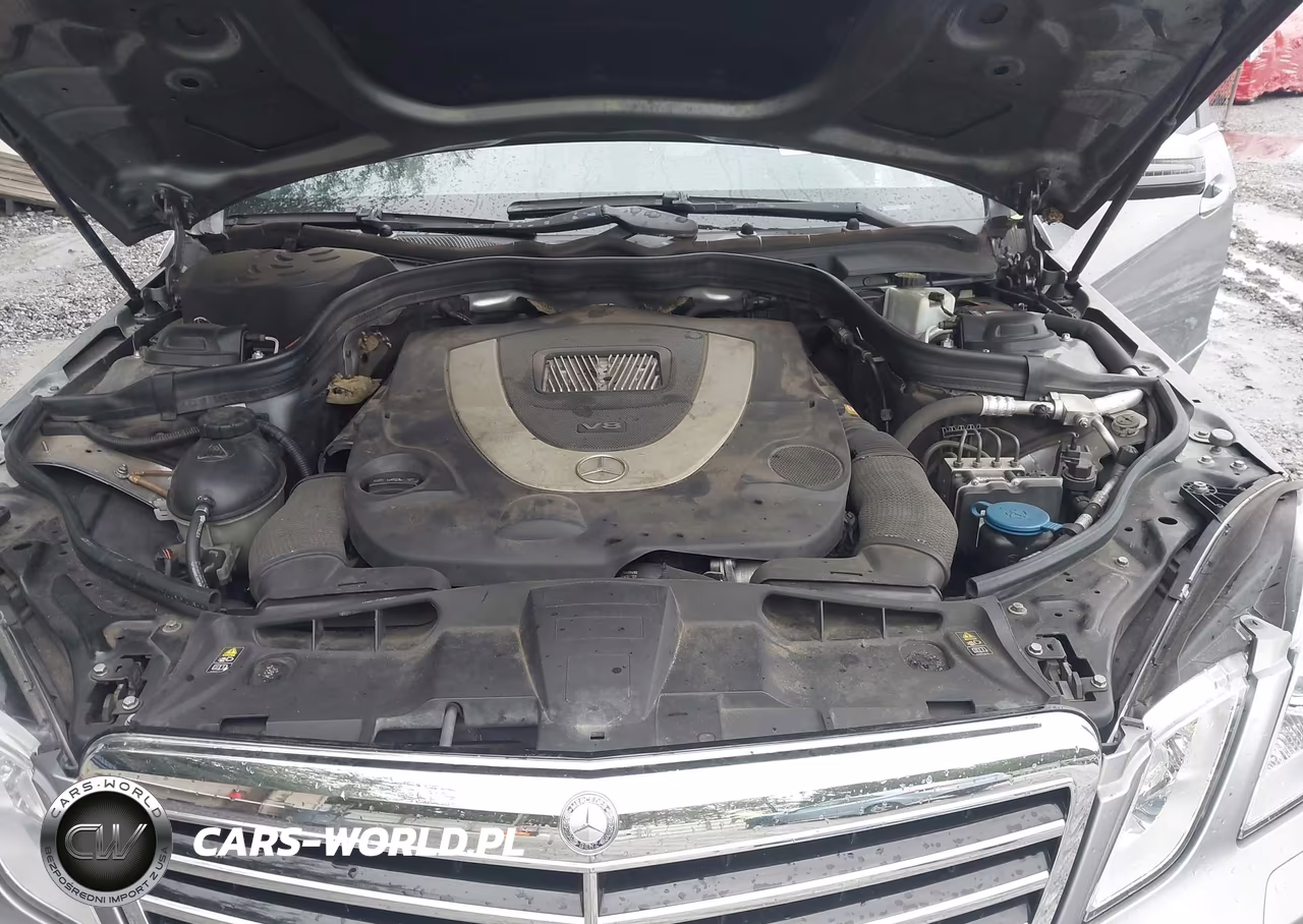 2010 Mercedes-Benz E 550 VIN:WDDHF7CB6AA197331 - 10