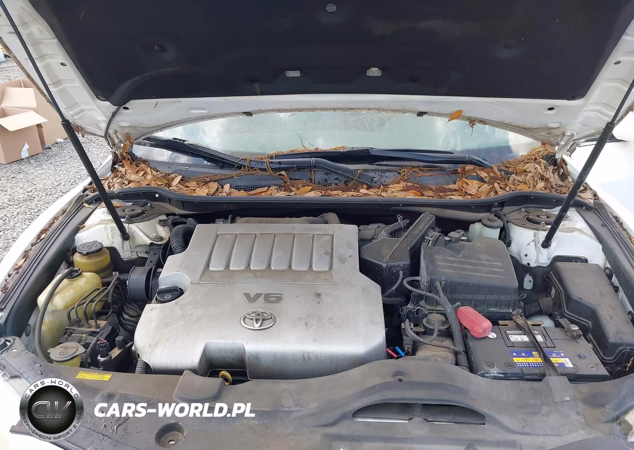 2010 Toyota Camry Xle V6 VIN:4T1BK3EK7AU599614 - 10