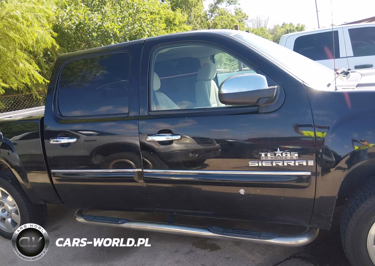 2009 GMC Sierra 1500 Sle VIN:3GTEC23J69G173835 - 13