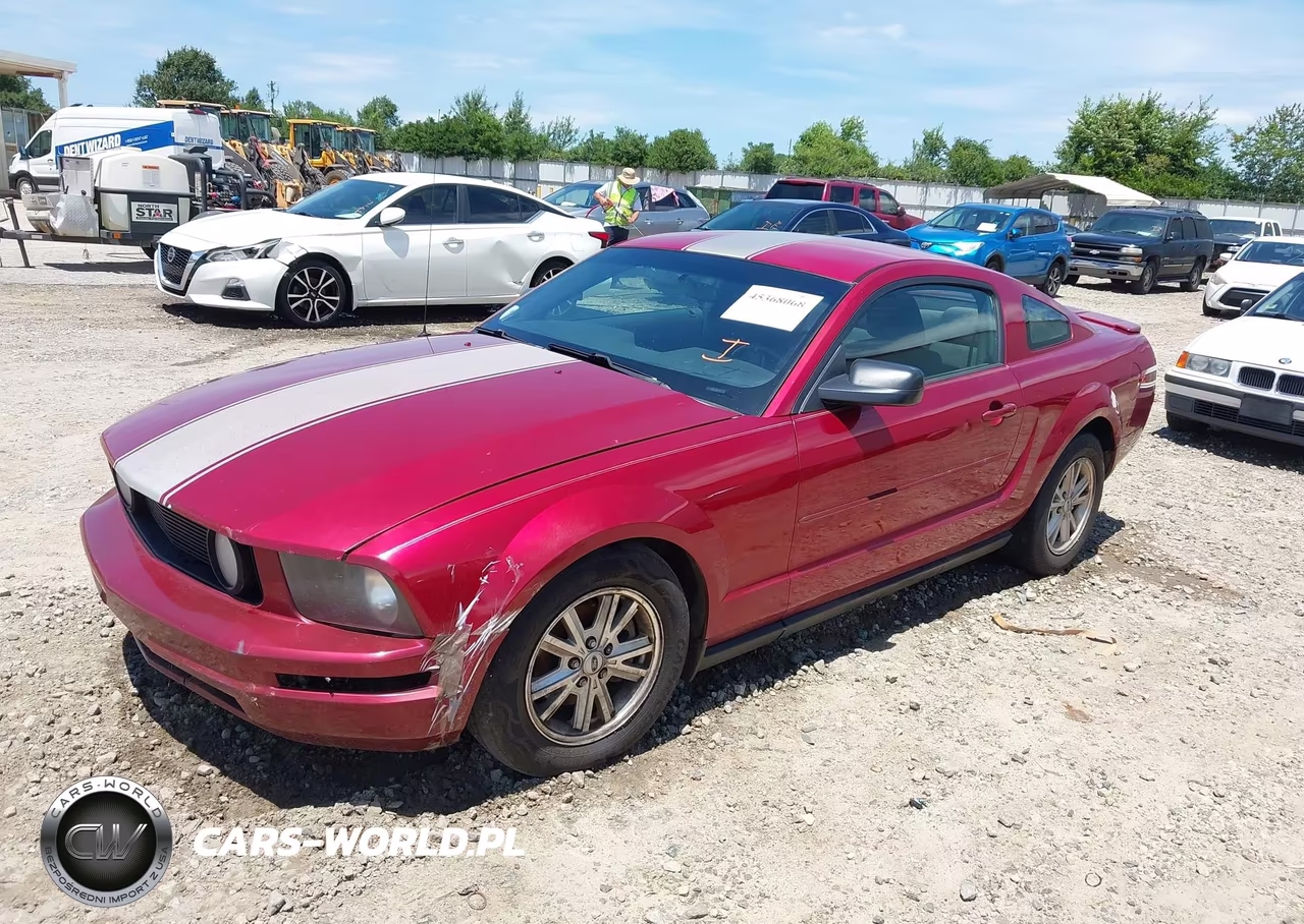 2007 Ford Mustang V6 Deluxe-V6 Premium VIN:1ZVFT80N875251936 - 2