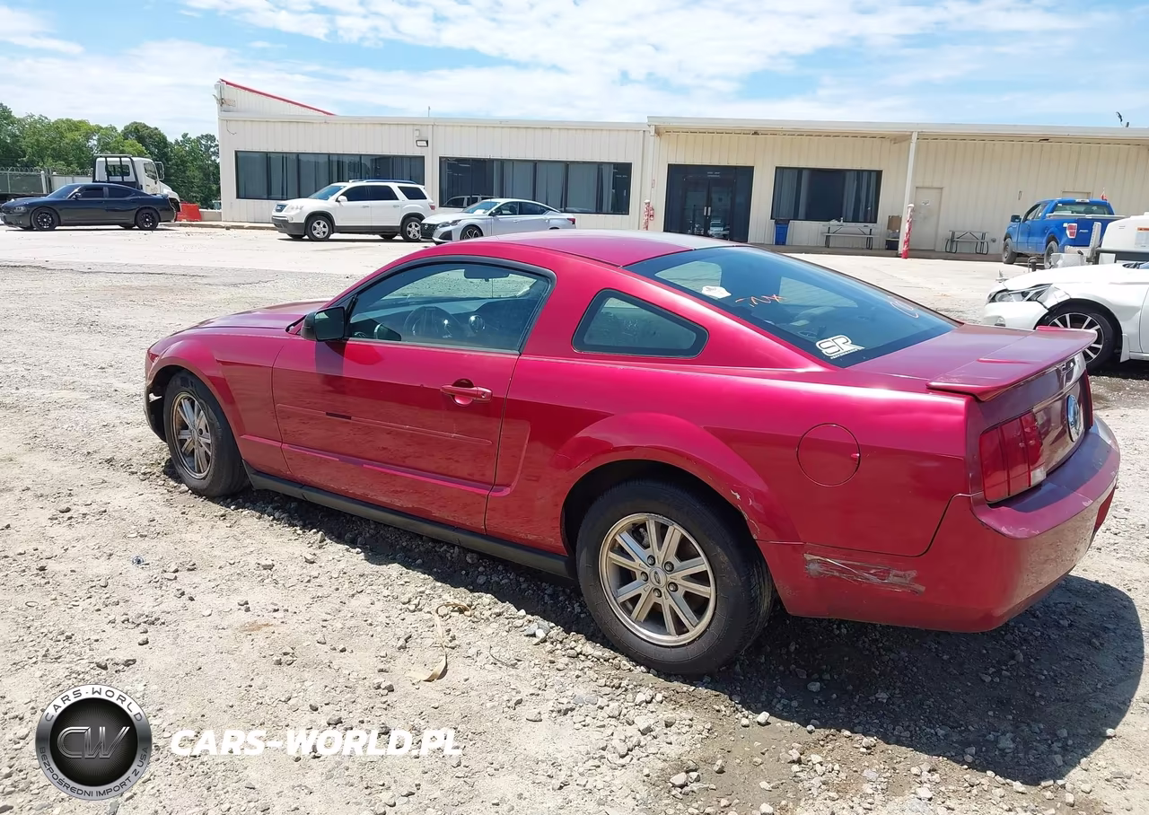 2007 Ford Mustang V6 Deluxe-V6 Premium VIN:1ZVFT80N875251936 - 3