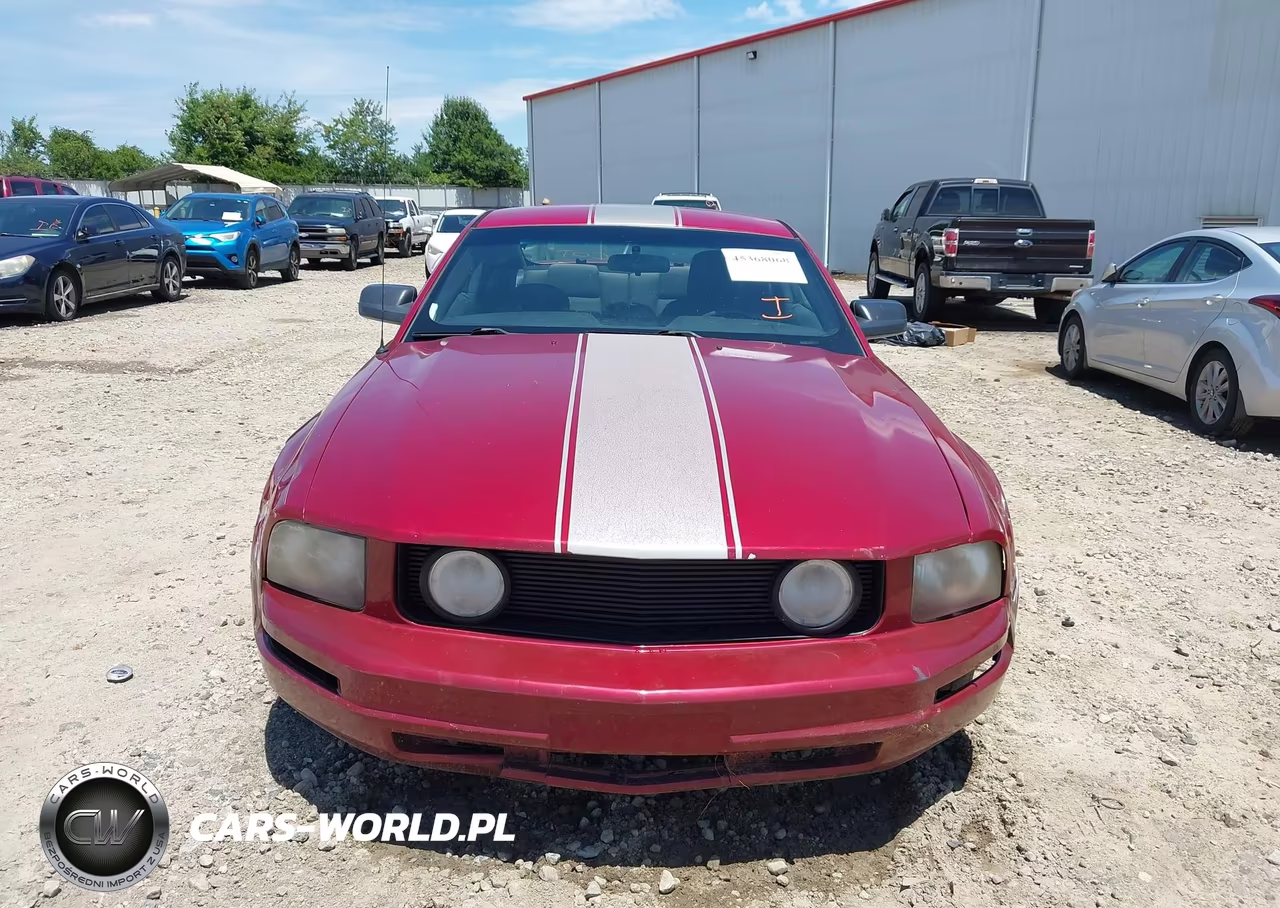 2007 Ford Mustang V6 Deluxe-V6 Premium VIN:1ZVFT80N875251936 - 6