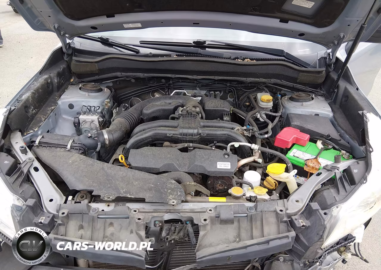 2014 Subaru Forester 2.5I VIN:JF2SJAAC5EH528132 - 10