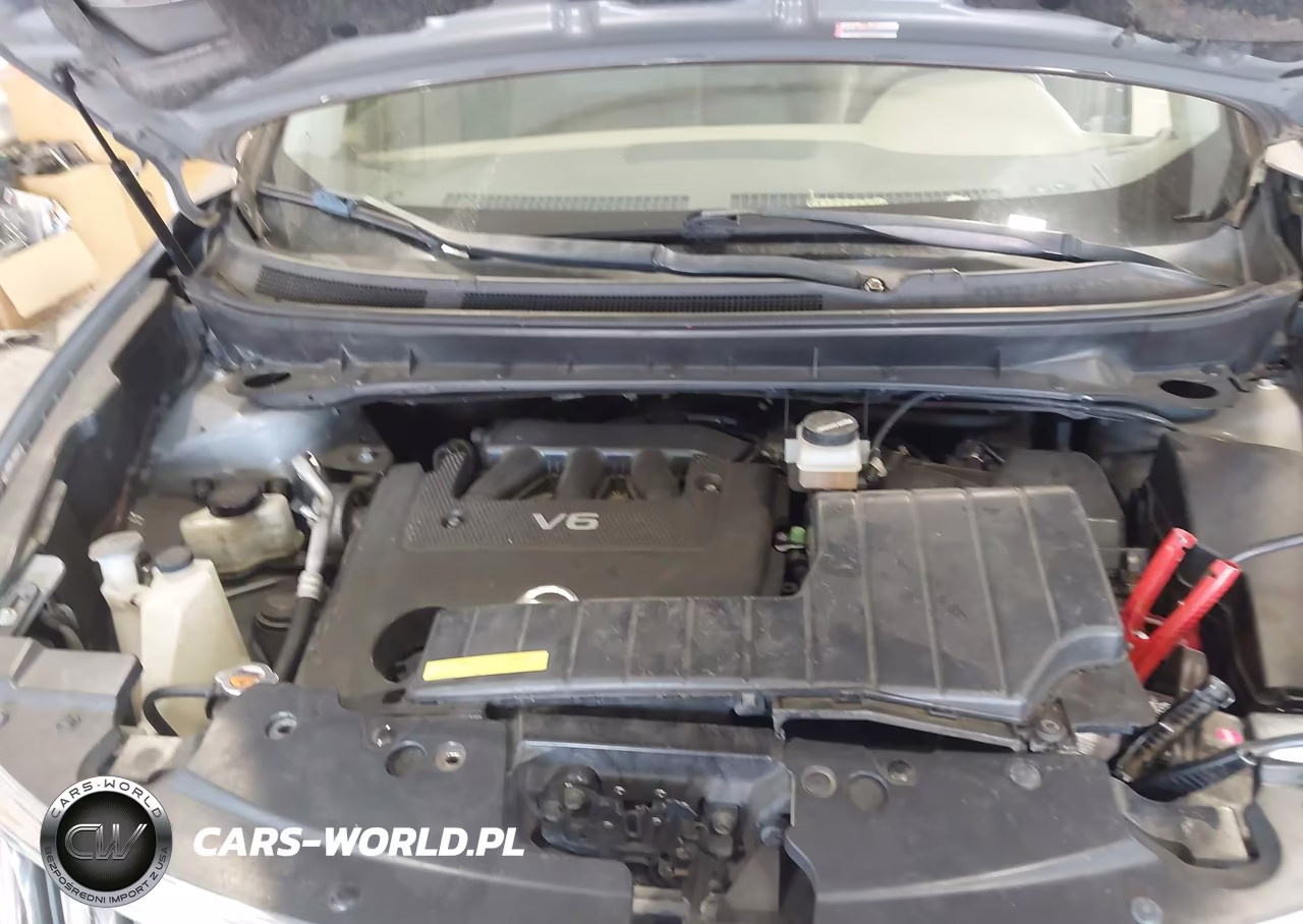 2009 Nissan Murano Sl VIN:JN8AZ18W09W146809 - 10