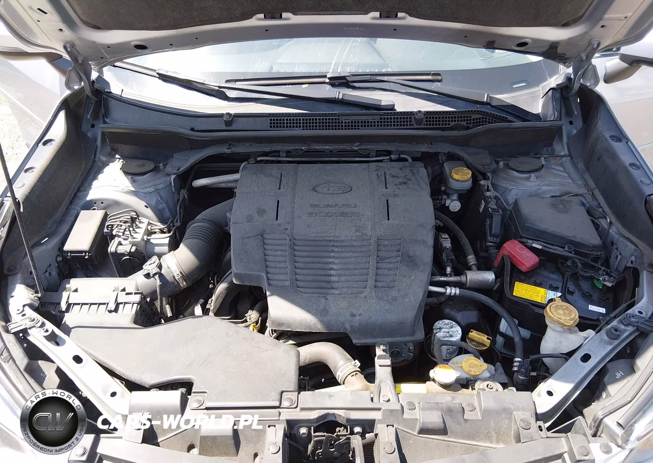 2019 Subaru Forester Limited VIN:JF2SKAUC1KH466359 - 10
