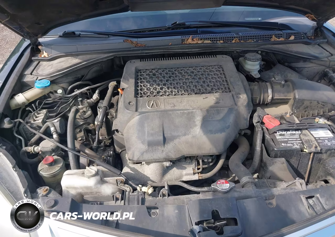 2011 Acura Rdx VIN:5J8TB1H50BA001290 - 10
