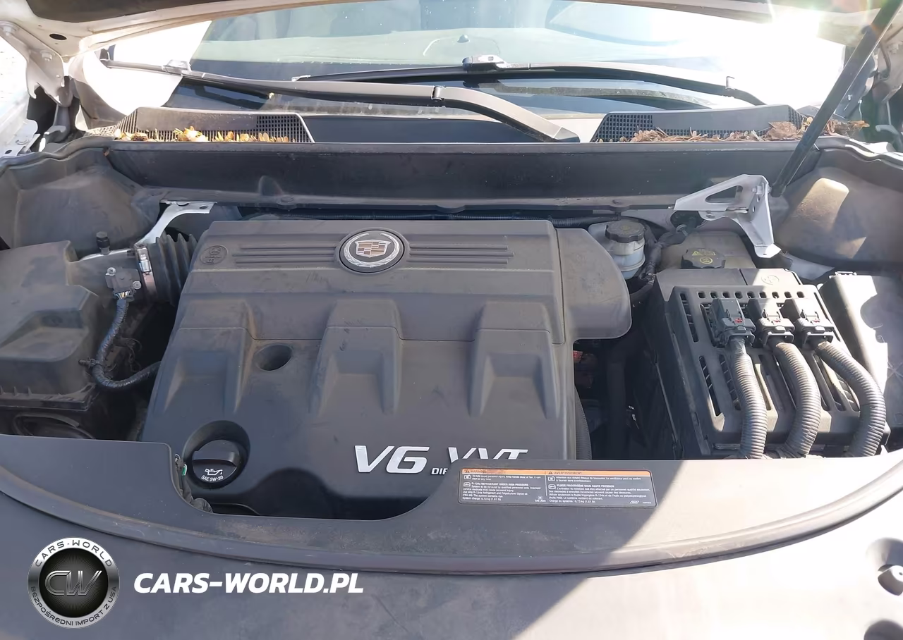 2012 Cadillac Srx Luxury Collection VIN:3GYFNDE33CS555098 - 10