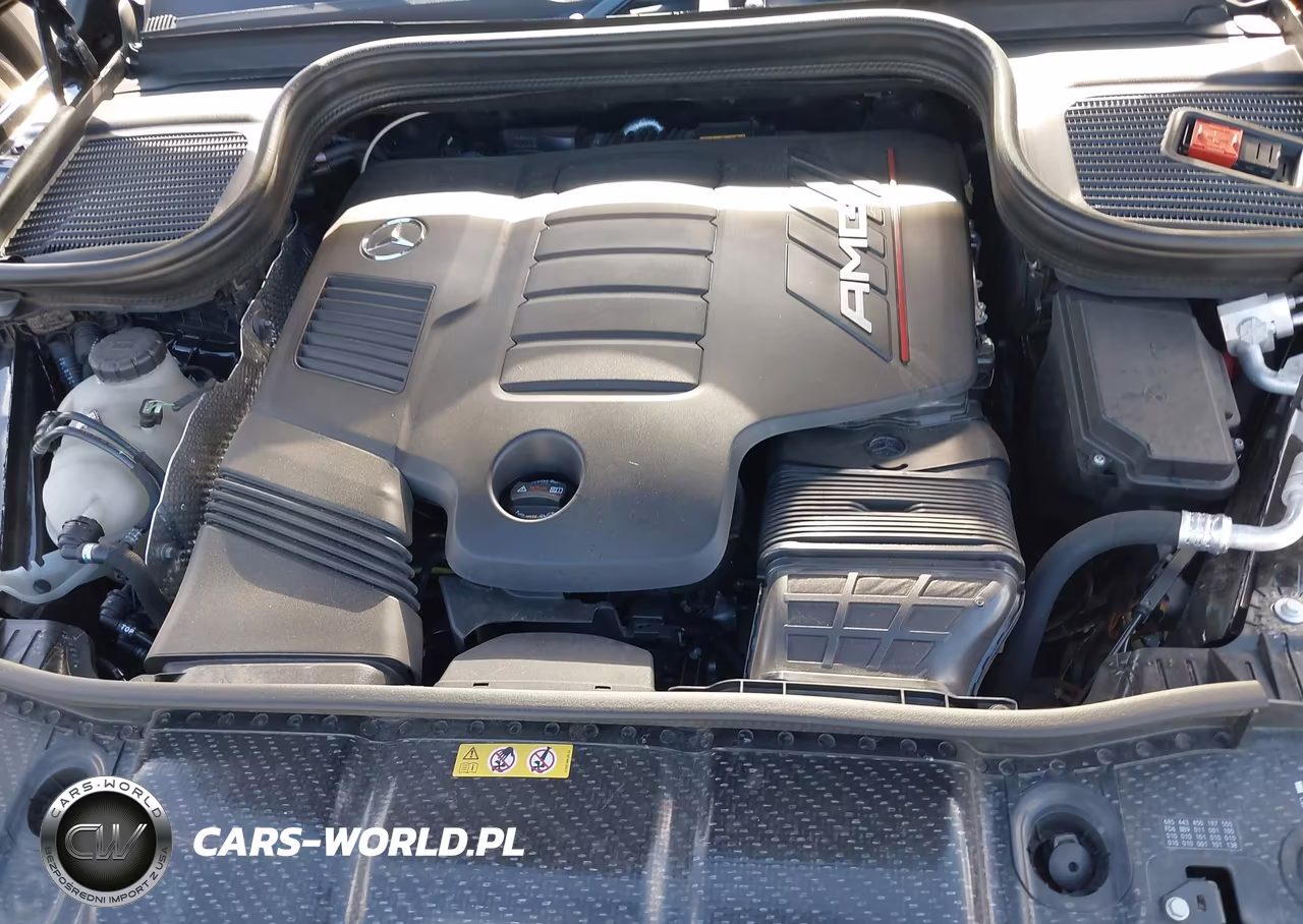 2025 Mercedes-Benz Amg Gle 53 Coupe 4Matic+ VIN:4JGFD6BB9SB361732 - 10