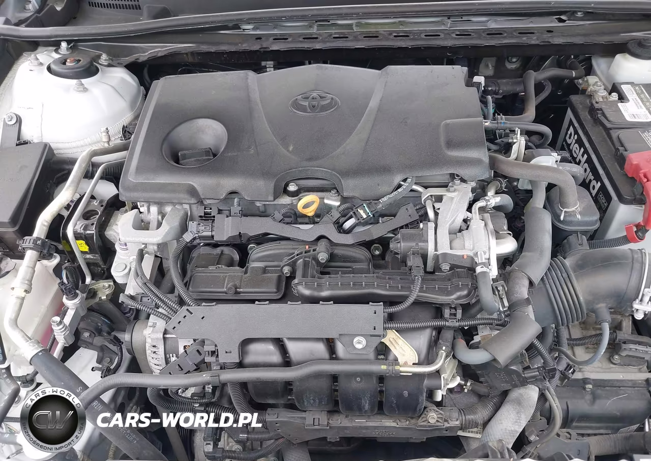 2019 Toyota Camry Xse VIN:4T1B61HK3KU172310 - 10