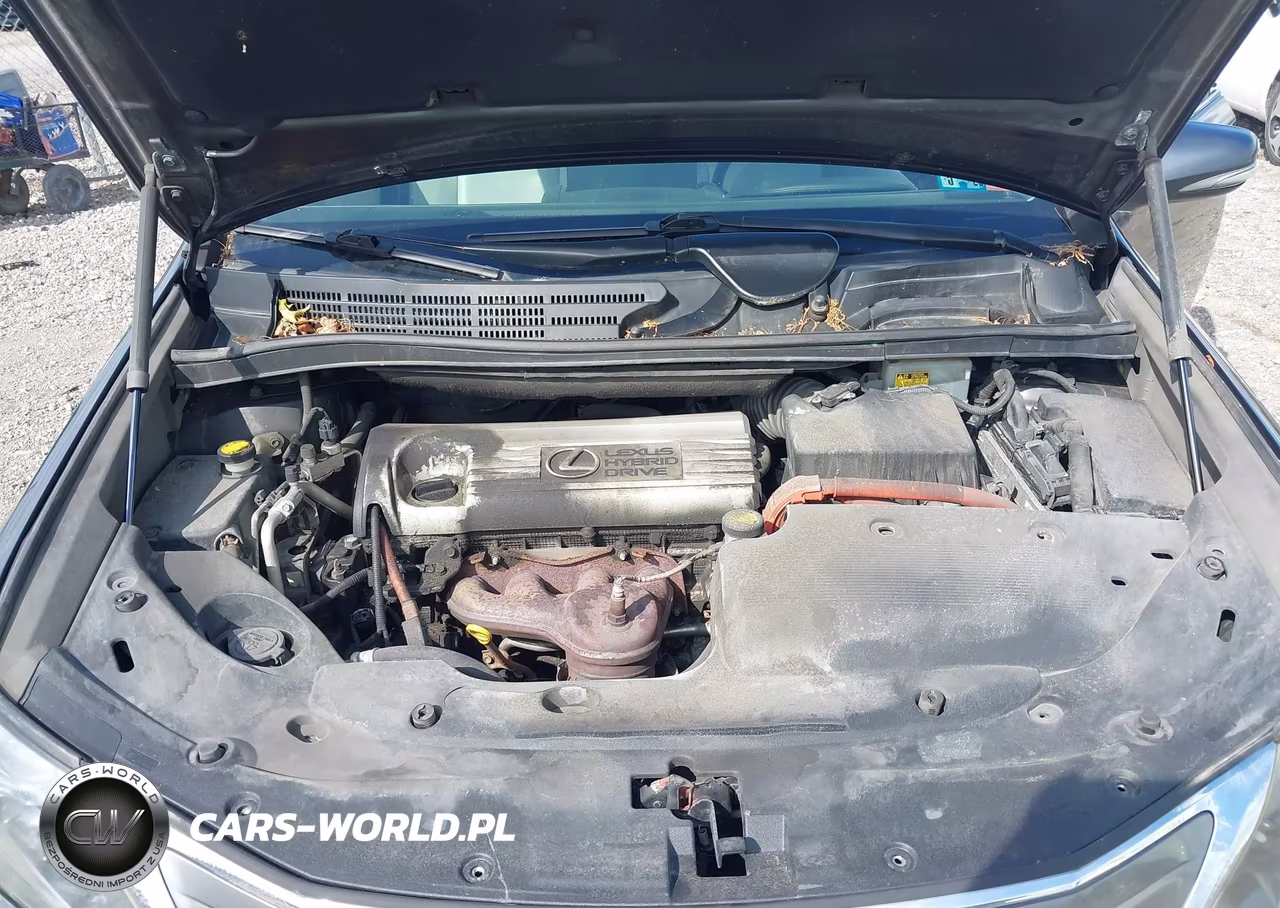2010 Lexus Hs 250H Premium VIN:JTHBB1BA4A2015605 - 10