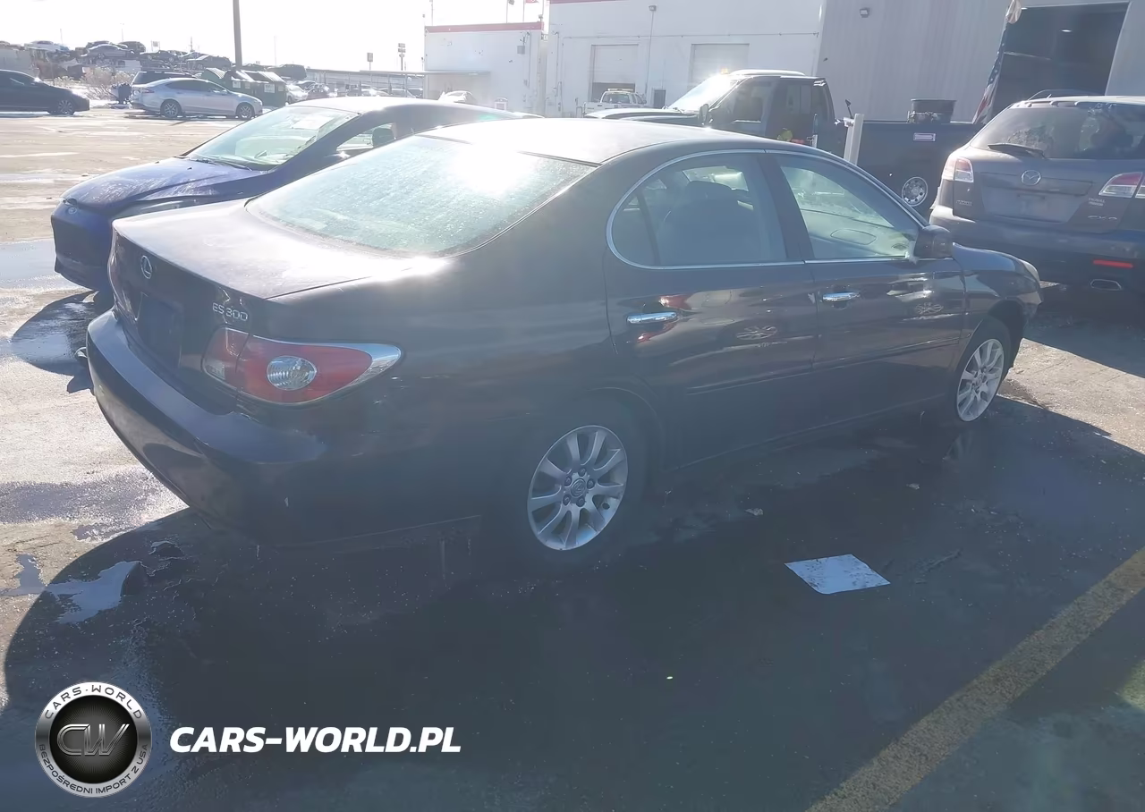 2002 Lexus Es 300 VIN:JTHBF30G325020768 - 4