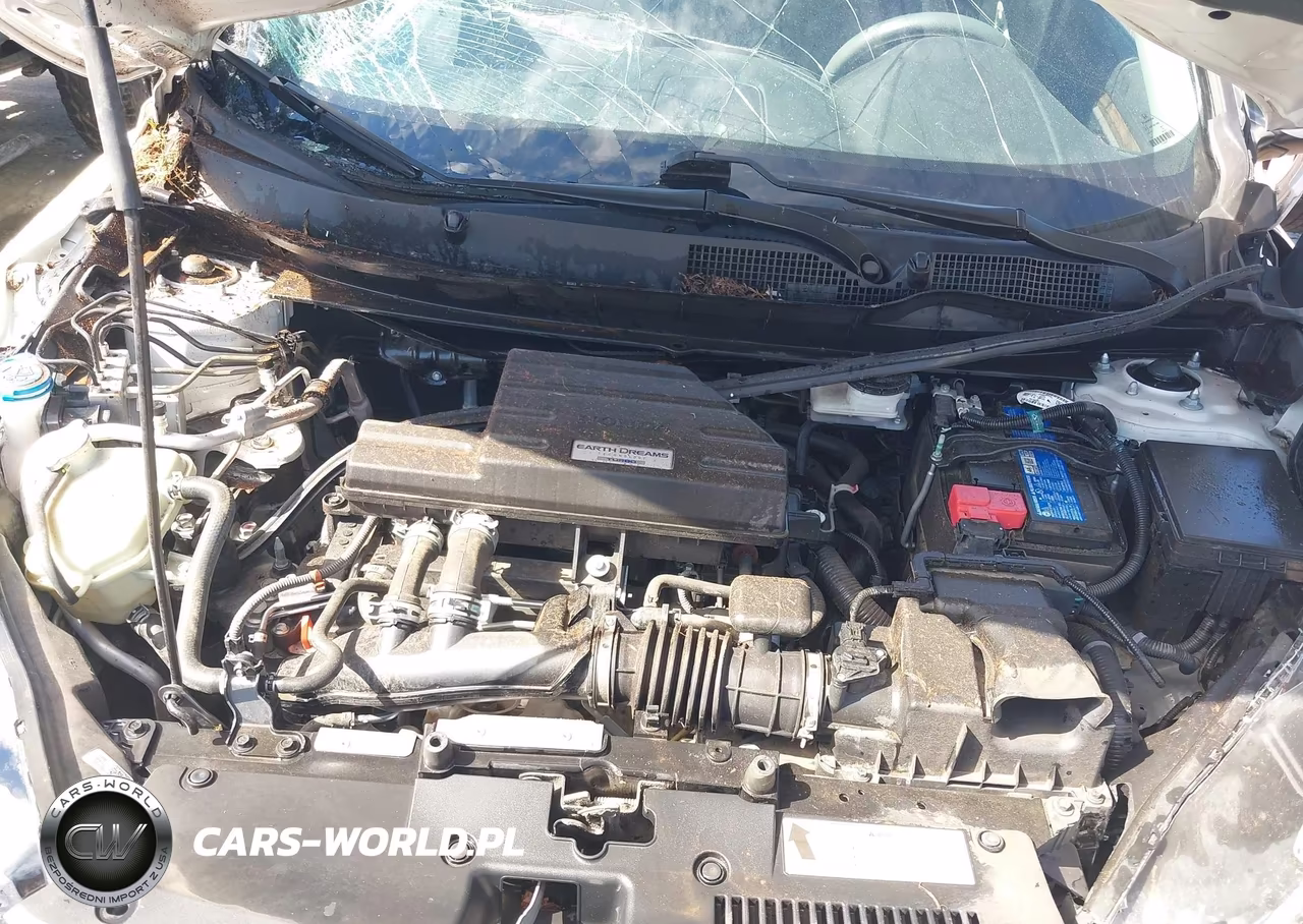 2020 Honda Cr-V 2Wd Ex VIN:2HKRW1H59LH409116 - 10