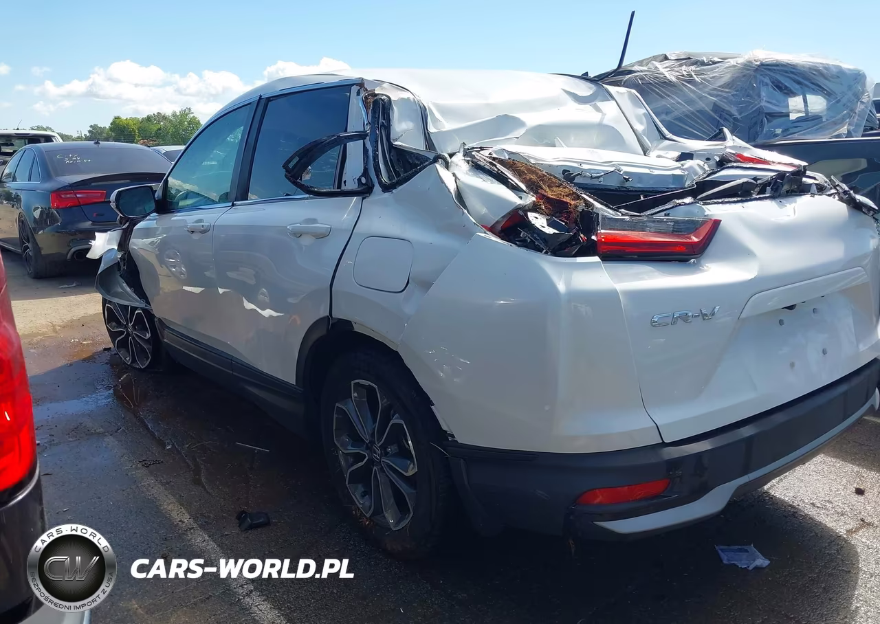 2020 Honda Cr-V 2Wd Ex VIN:2HKRW1H59LH409116 - 3