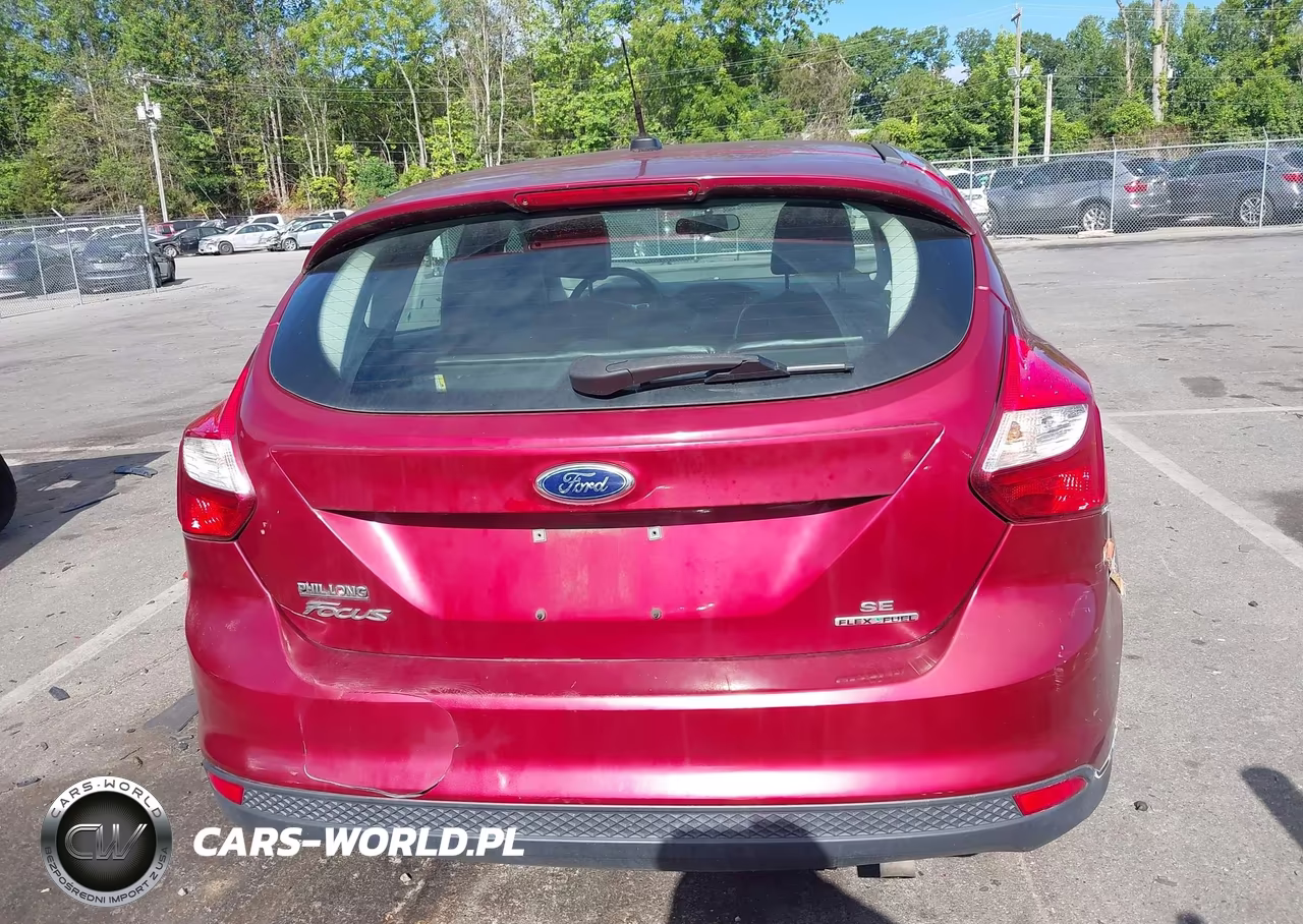 2014 Ford Focus Se VIN:1FADP3K28EL209379 - 16