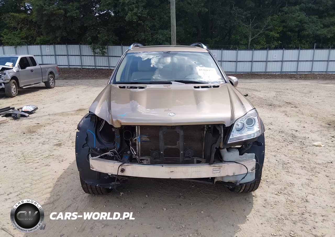 2010 Mercedes-Benz Gl 450 4Matic VIN:4JGBF7BE1AA597319 - 13
