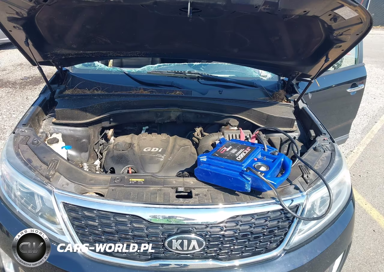 2015 Kia Sorento Lx VIN:5XYKT4A69FG623520 - 10