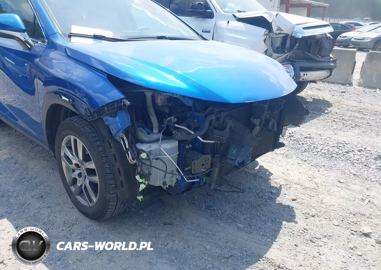 2016 Lexus Nx 200T VIN:JTJYARBZ3G2028032 - 6