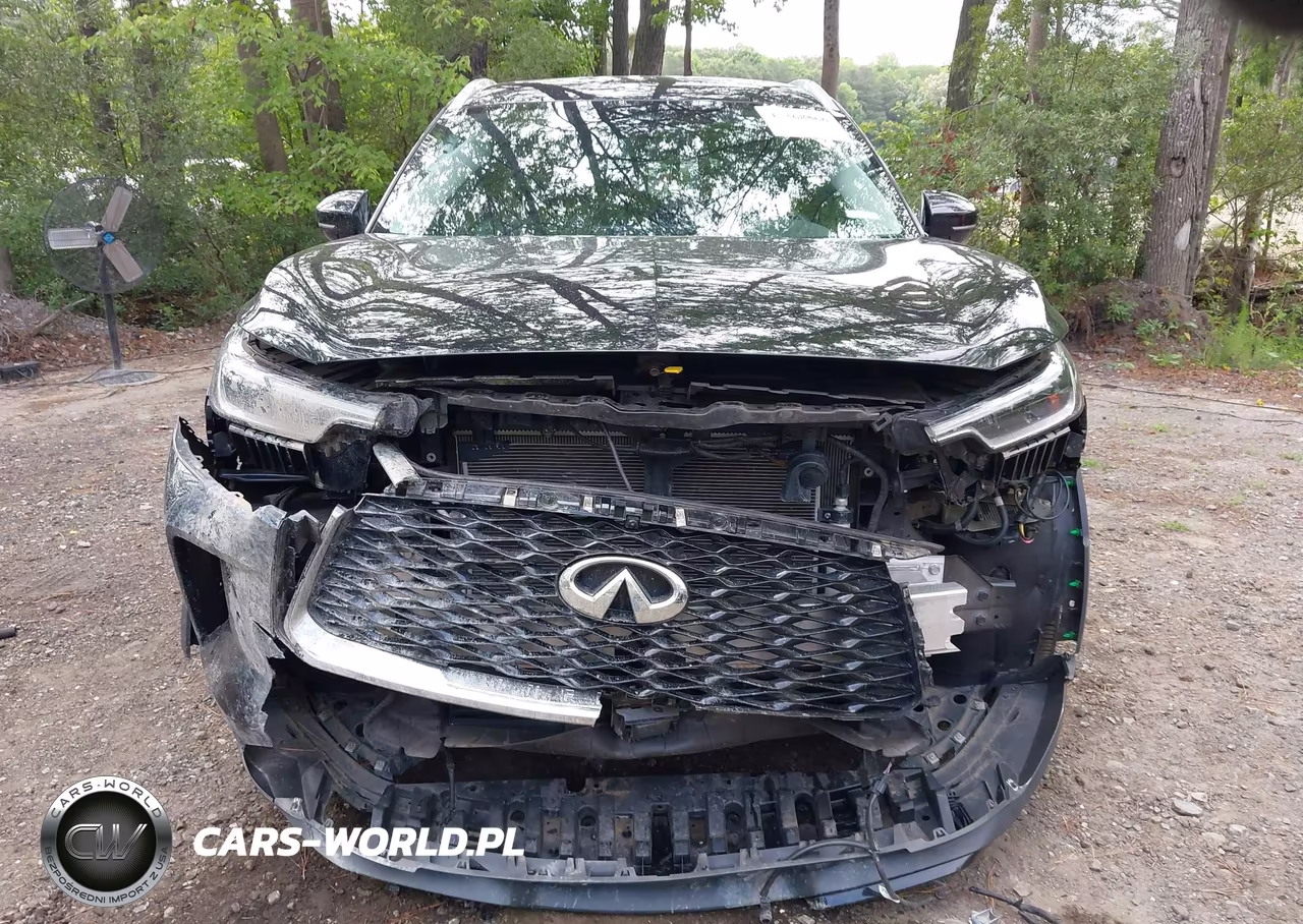 2024 Infiniti Qx60 Luxe Awd VIN:5N1DL1FS0RC332065 - 13