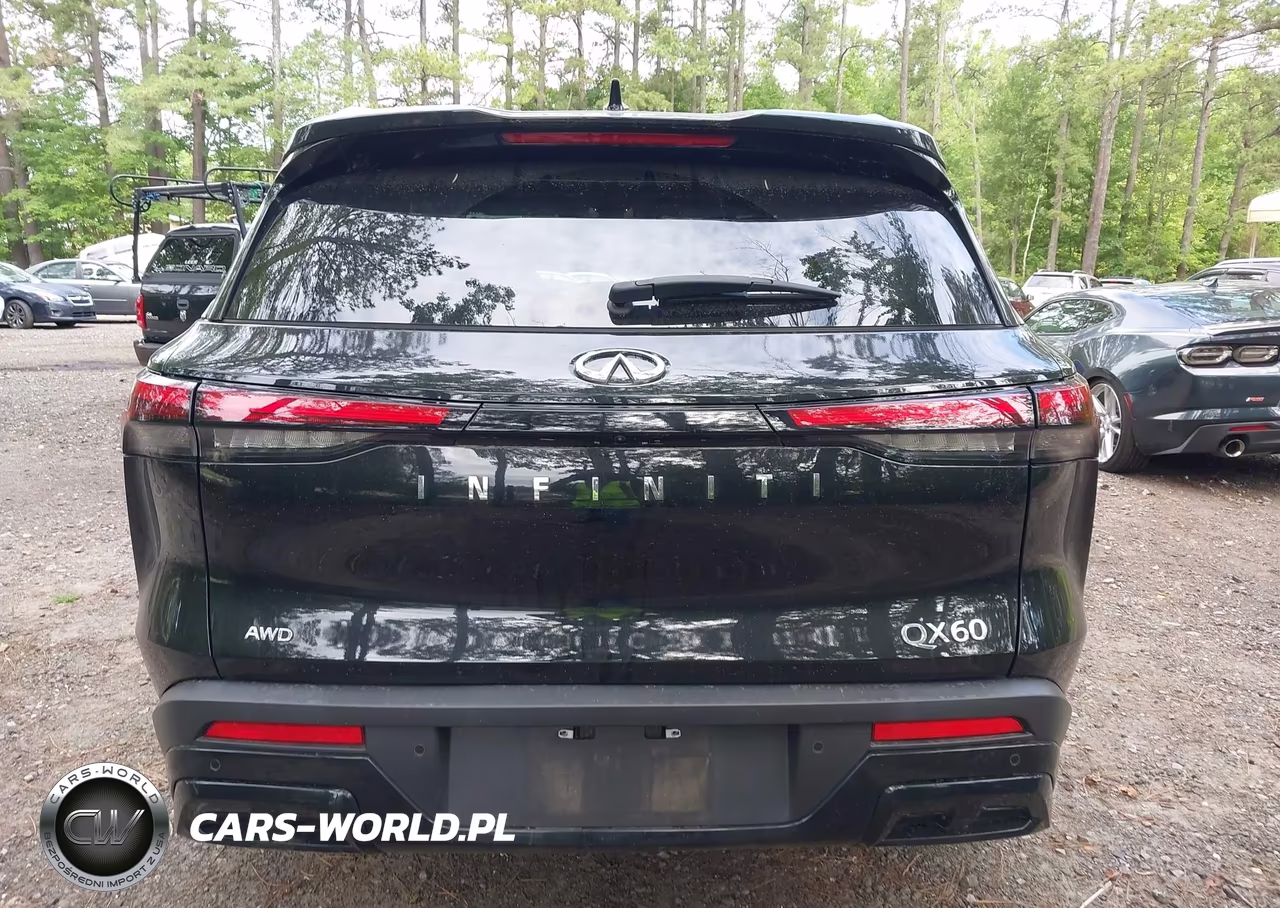 2024 Infiniti Qx60 Luxe Awd VIN:5N1DL1FS0RC332065 - 17