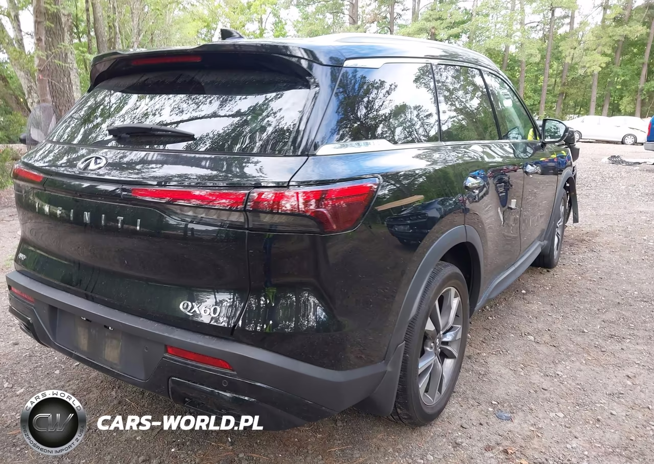 2024 Infiniti Qx60 Luxe Awd VIN:5N1DL1FS0RC332065 - 4