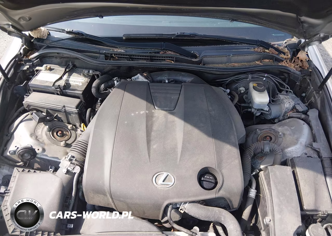 2014 Lexus Is 250 VIN:JTHCF1D25E5010934 - 10