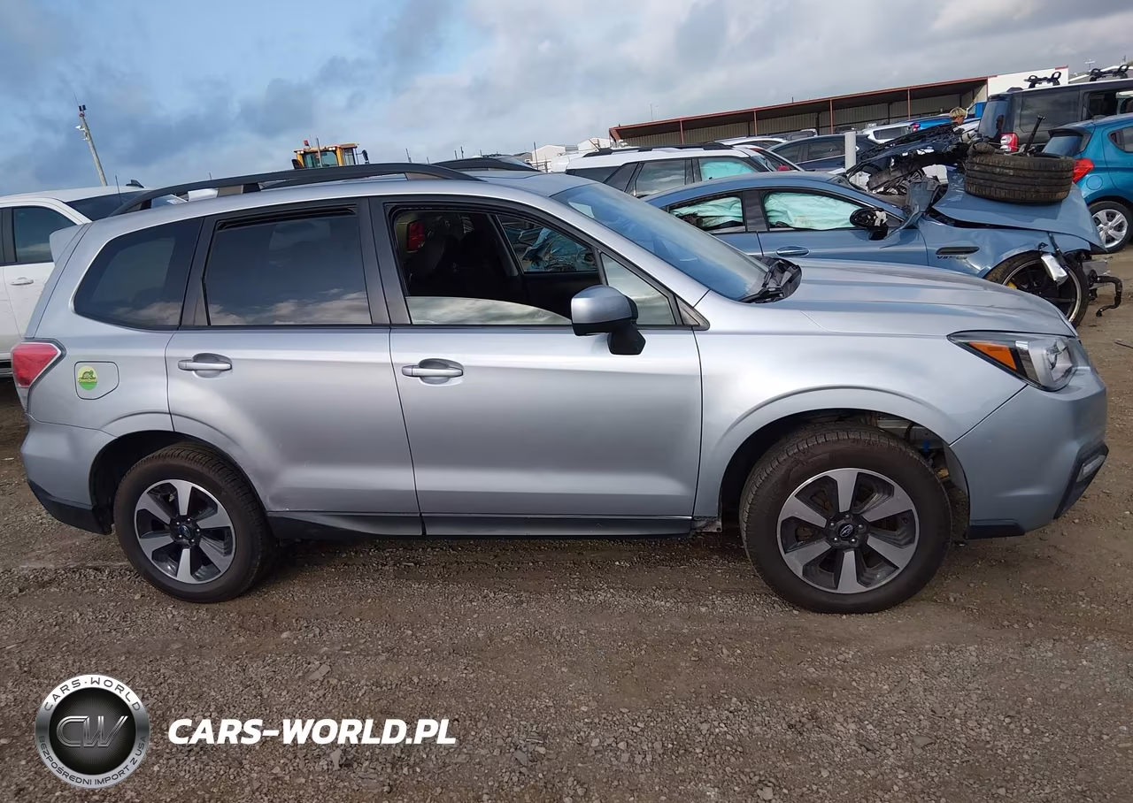 2017 Subaru Forester 2.5I Premium VIN:JF2SJAEC8HH431070 - 13