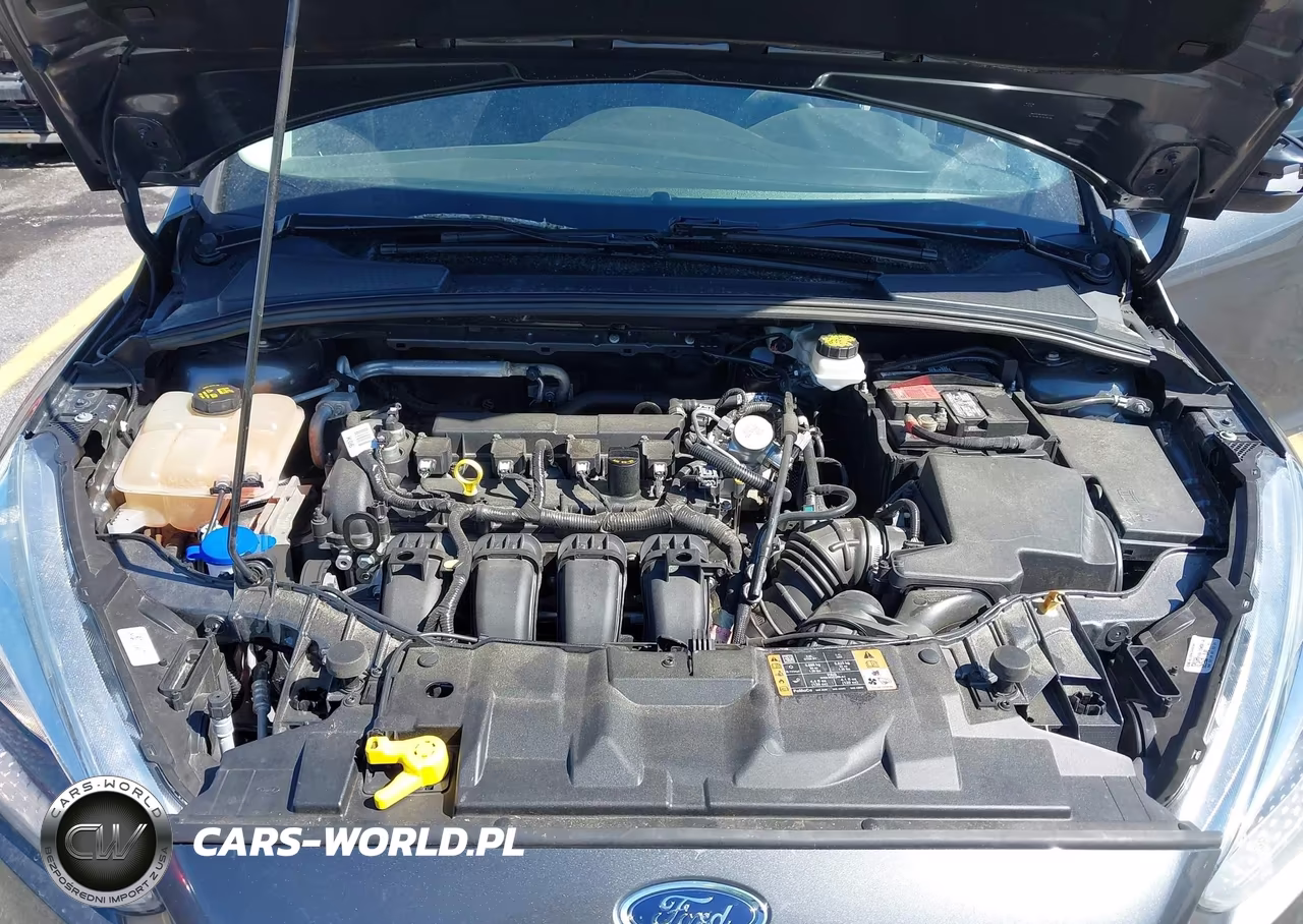 2018 Ford Focus Se VIN:1FADP3K25JL318943 - 10