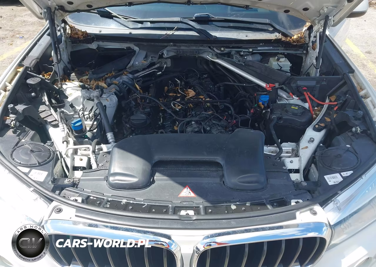2015 BMW X5 xDrive35D VIN:5UXKS4C53F0N06544 - 10